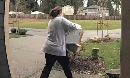 Package Thief