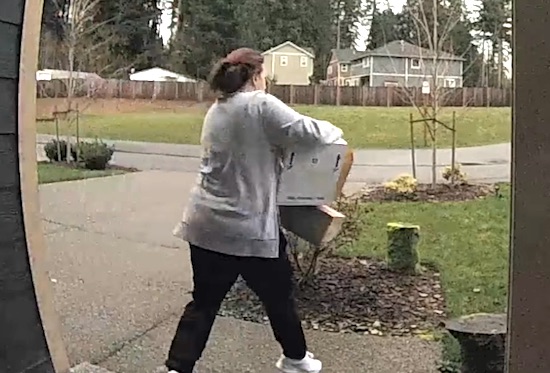 Package Thief