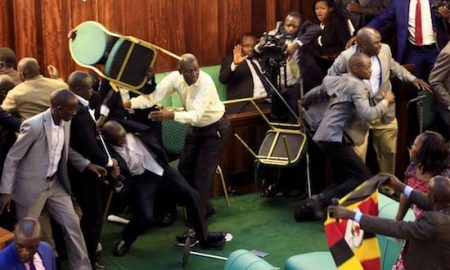 Parliament Brawl