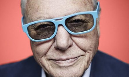 David Attenborough Rave