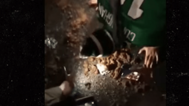 Eagles FAn Horse Poo