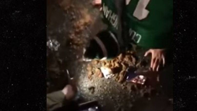 Eagles FAn Horse Poo