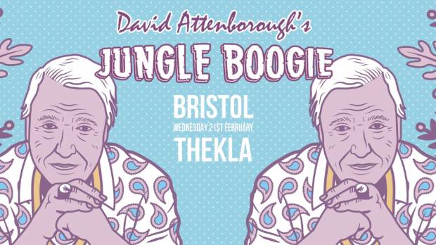 Jungle Boogie