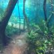 Underwater hiking trail