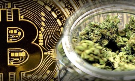 Weed Bitcoin
