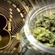 Weed Bitcoin