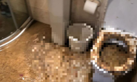 Poo
