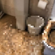 Poo