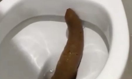 Turd