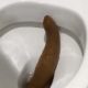 Turd