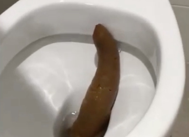 Girl Huge Turd