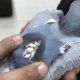 Pigeon Ecstasy