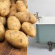 Potatotes Bathtub