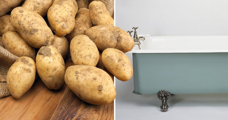 Potatotes Bathtub