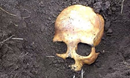 Potato field murder