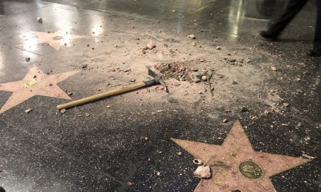 Trump Destroyed