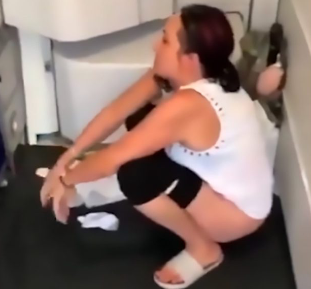 Woman Pees On Plane