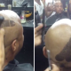 Barber Penis