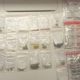 Drug Bust