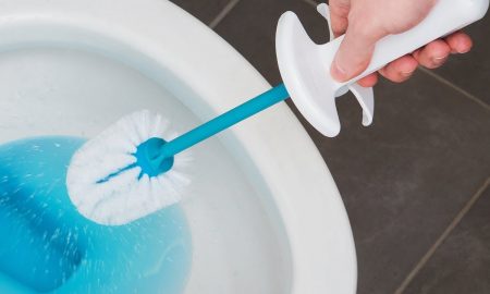 Toilet Brush