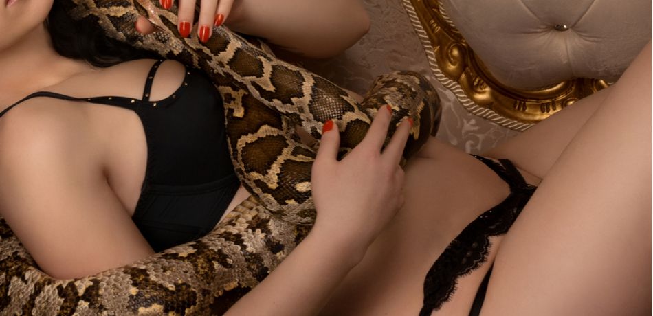 snake Porn