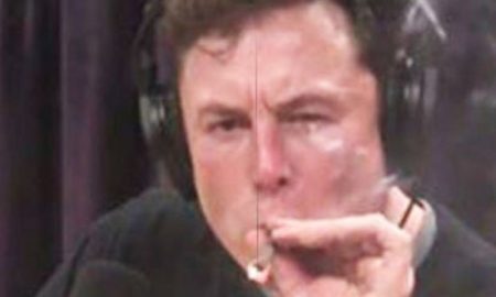 Elon Musk Joint