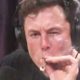 Elon Musk Joint