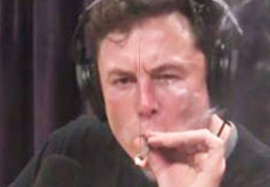 Elon Musk Joint