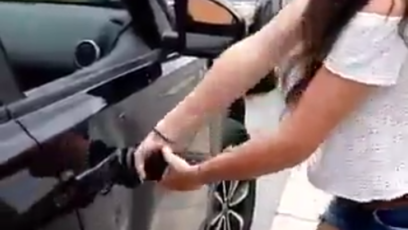 Girl Dildo Car