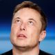 Musk