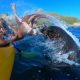 Seal Slap