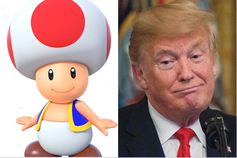 Trump Toad