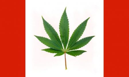 Canada Weed