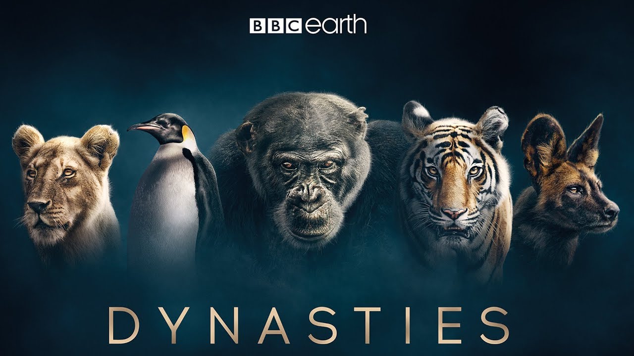 Here's The First Look At David Attenborough's New Series 'Dynasties'