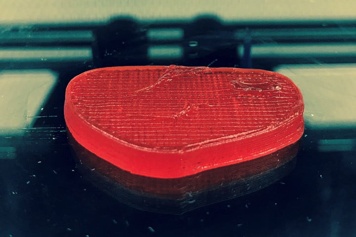 3D Printed Steak