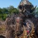 Alton Towers 1