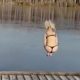 Babe Diving