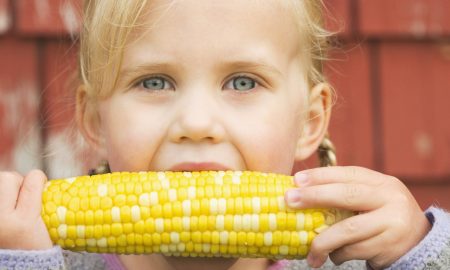 eating corn