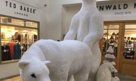 Polar Bears 1