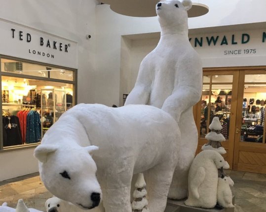 Polar Bears 1