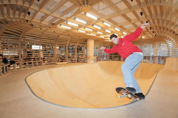 Skate Bowl 2