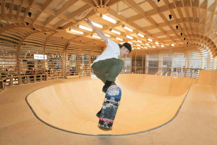 Skate Bowl