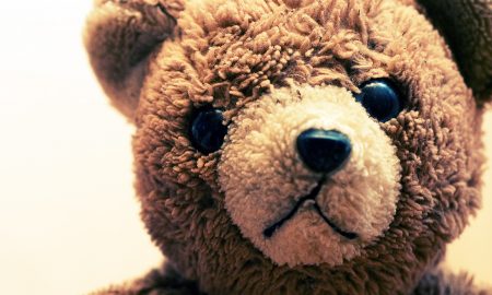 Teddy Bear