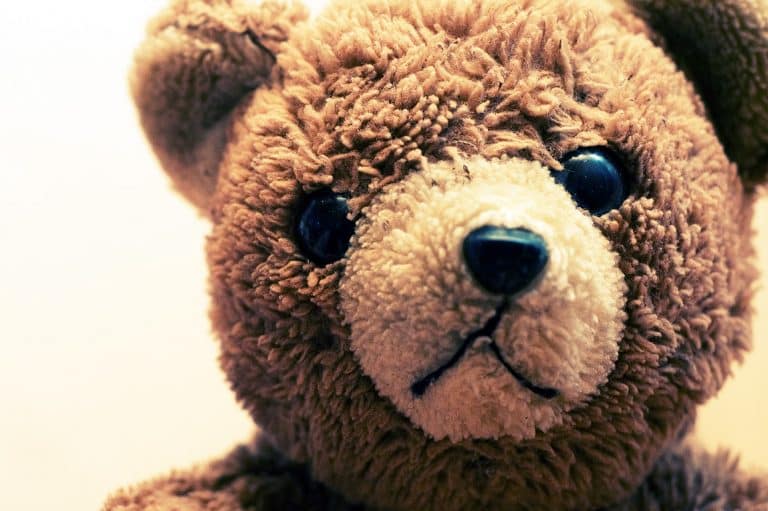 Teddy Bear