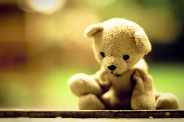 Teddy Bear