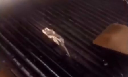 burger