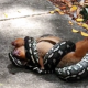 Snake