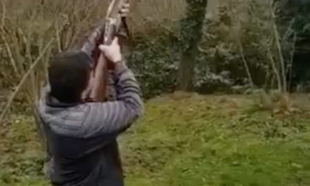 Gun