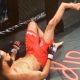 MMA Leg Break