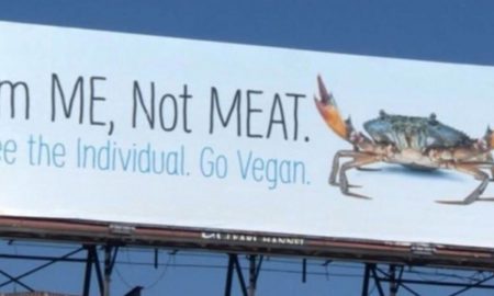 PETA 1